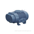 Roots Vacuum Pump For The Heavy Industry